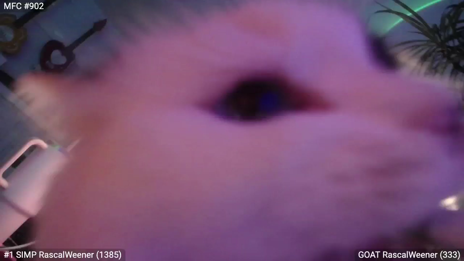 Gallery image thumbnail from RascalTV's myfreecams stream on, 03/02/2024, 08:50 image 3 of 20