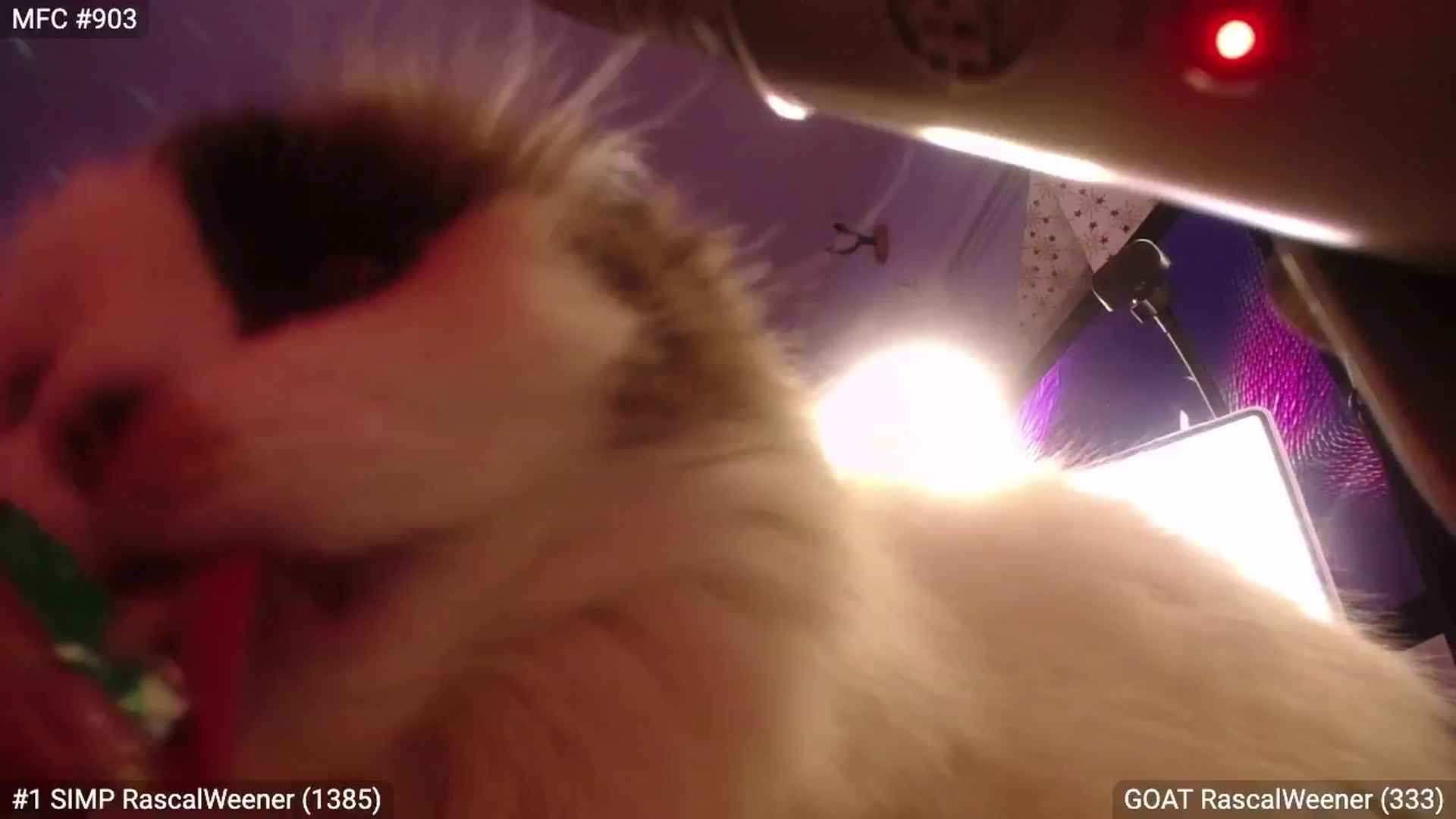 Gallery image thumbnail from RascalTV's myfreecams stream on, 03/02/2024, 08:50 image 5 of 20