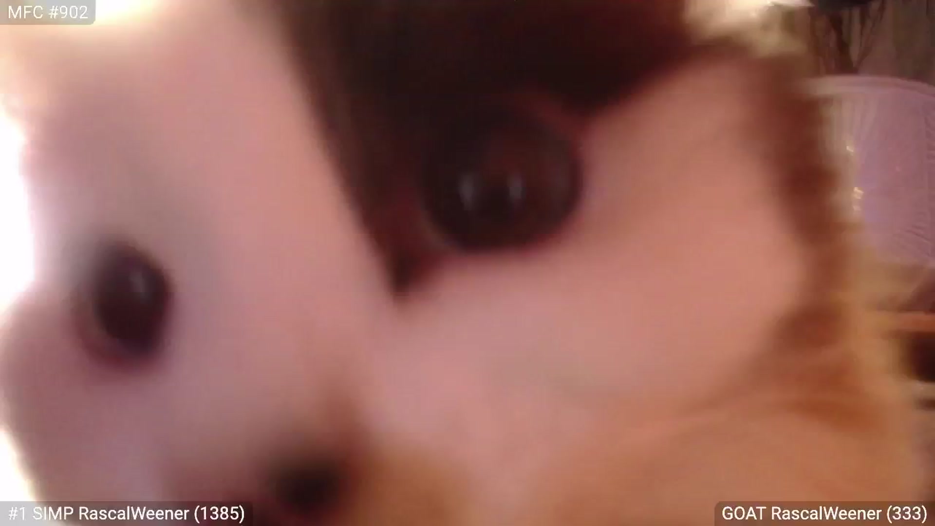 Gallery image thumbnail from RascalTV's myfreecams stream on, 03/02/2024, 08:50 image 2 of 20