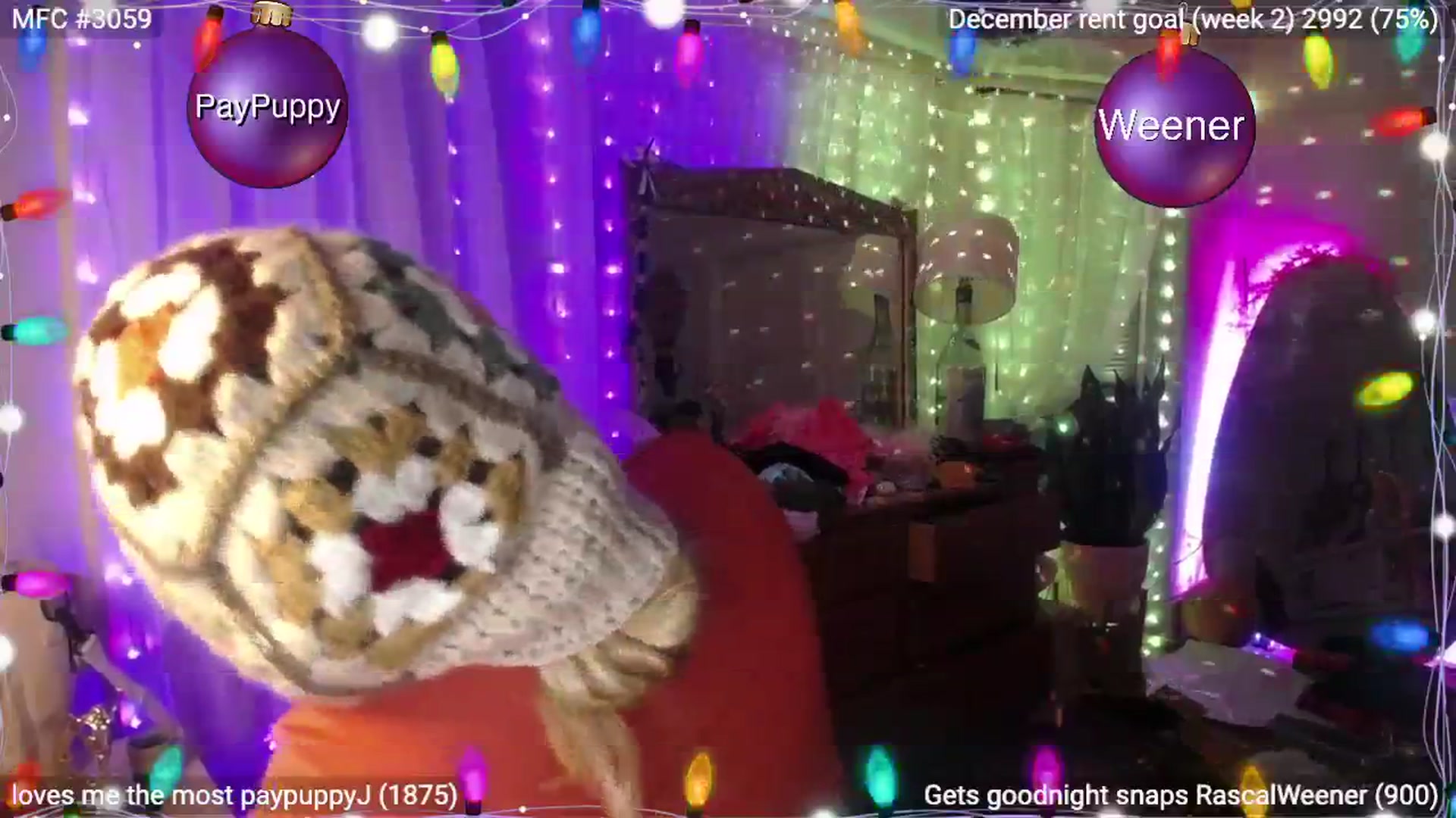Gallery image thumbnail from RascalTV's myfreecams stream on, 12/27/2024, 08:56 image 13 of 20