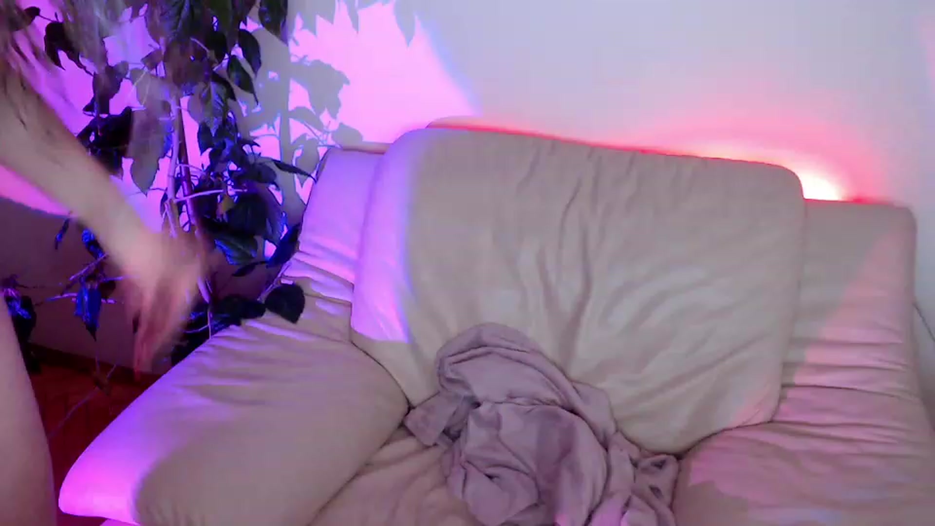 Gallery image thumbnail from Rebecca_Kitty's myfreecams stream on, 11/15/2022, 21:42 image 19 of 20