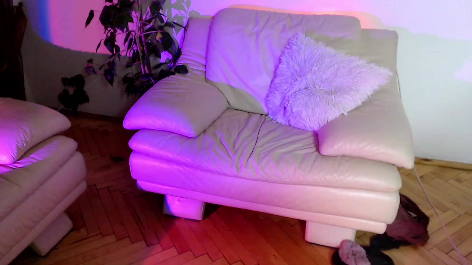 Gallery image thumbnail from Rebecca_Kitty's myfreecams stream on, 11/18/2022, 03:38 image 20 of 20
