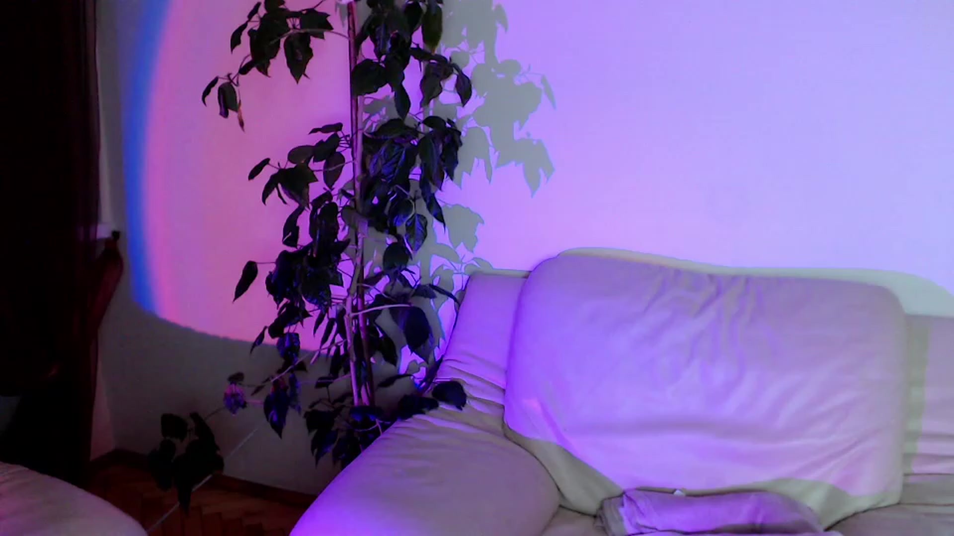 Gallery image thumbnail from Rebecca_Kitty's myfreecams stream on, 11/21/2022, 05:15 image 17 of 20