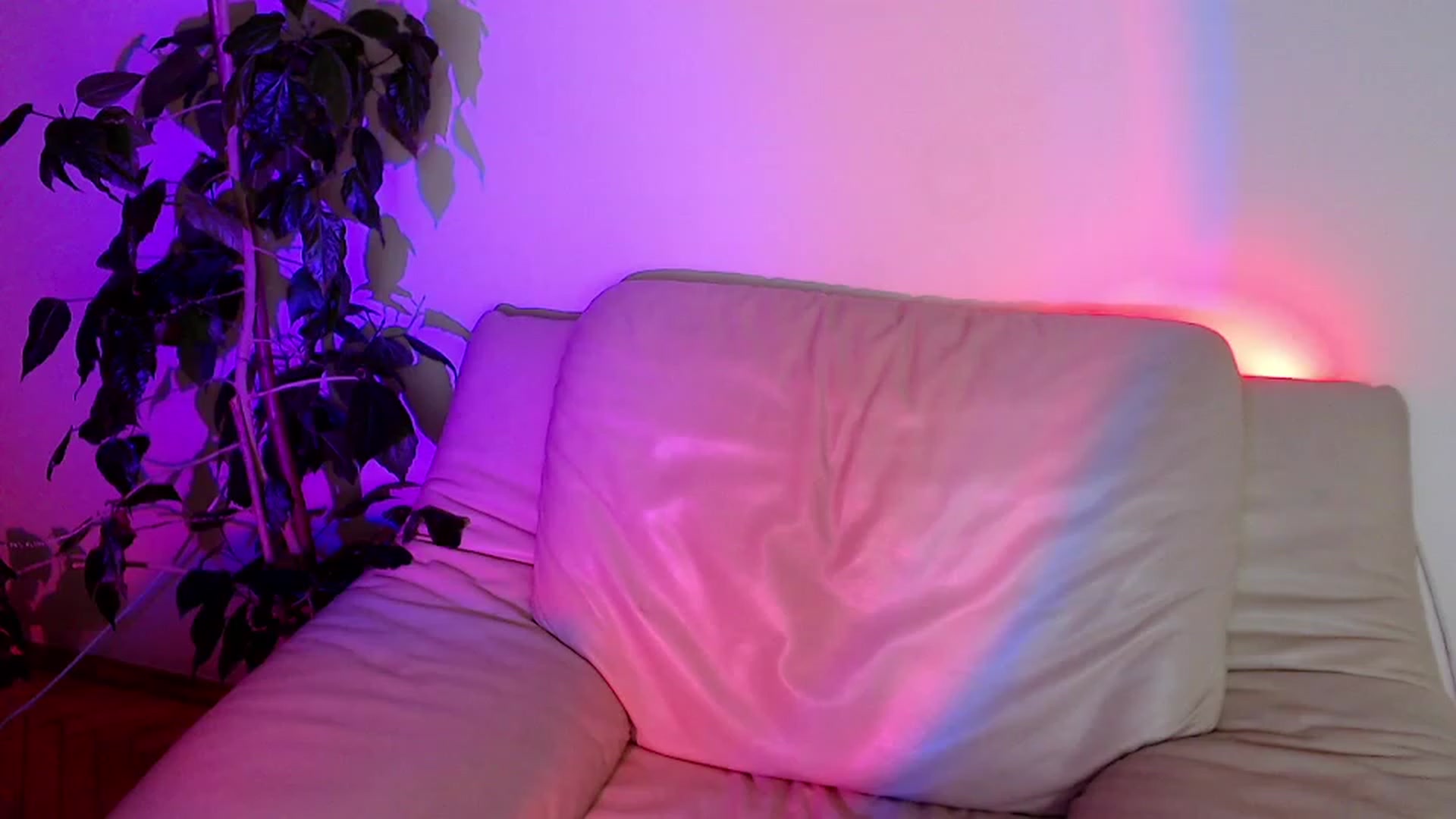 Gallery image thumbnail from Rebecca_Kitty's myfreecams stream on, 11/23/2022, 04:03 image 12 of 20