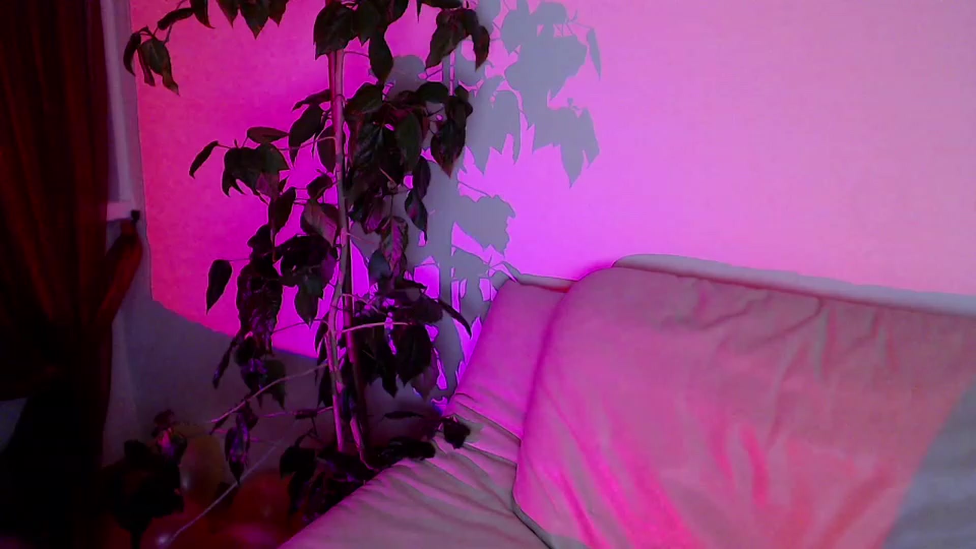 Gallery image thumbnail from Rebecca_Kitty's myfreecams stream on, 11/29/2022, 24:43 image 9 of 20