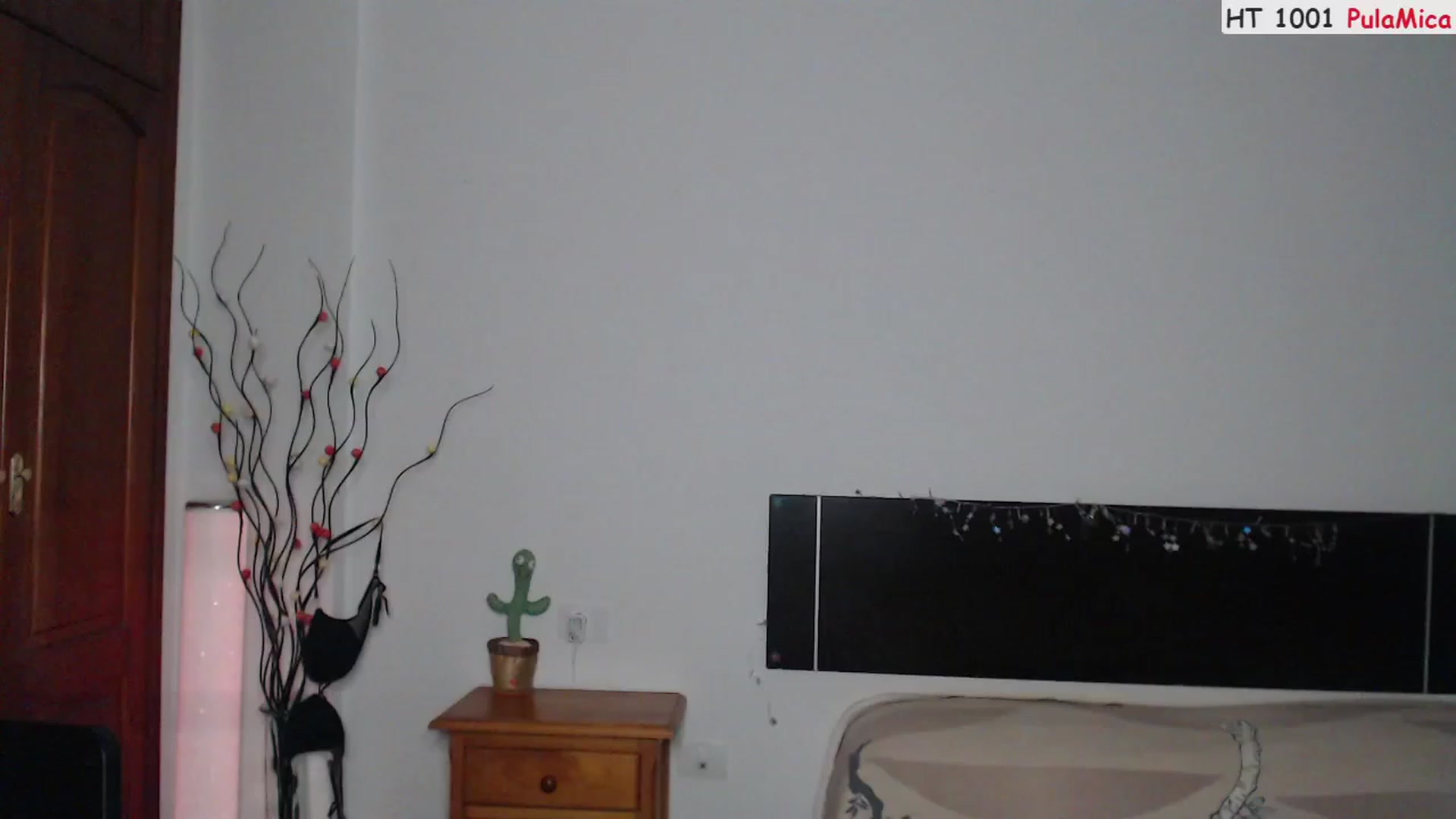 Gallery image thumbnail from RedHotSausage's myfreecams stream on, 07/09/2023, 24:03 image 5 of 20