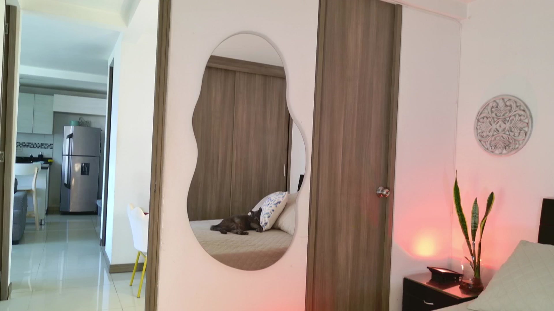 Gallery image thumbnail from Red_Aria's myfreecams stream on, 09/15/2025, 20:06 image 13 of 20