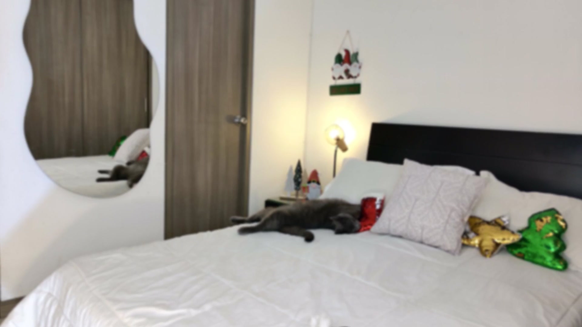 Gallery image thumbnail from Red_Aria's myfreecams stream on, 12/19/2025, 20:13 image 20 of 20