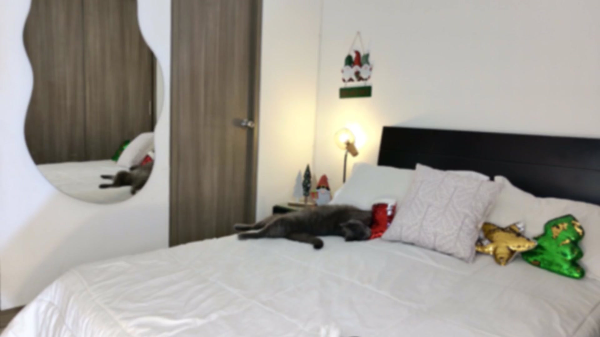 Gallery image thumbnail from Red_Aria's myfreecams stream on, 12/19/2025, 20:13 image 19 of 20