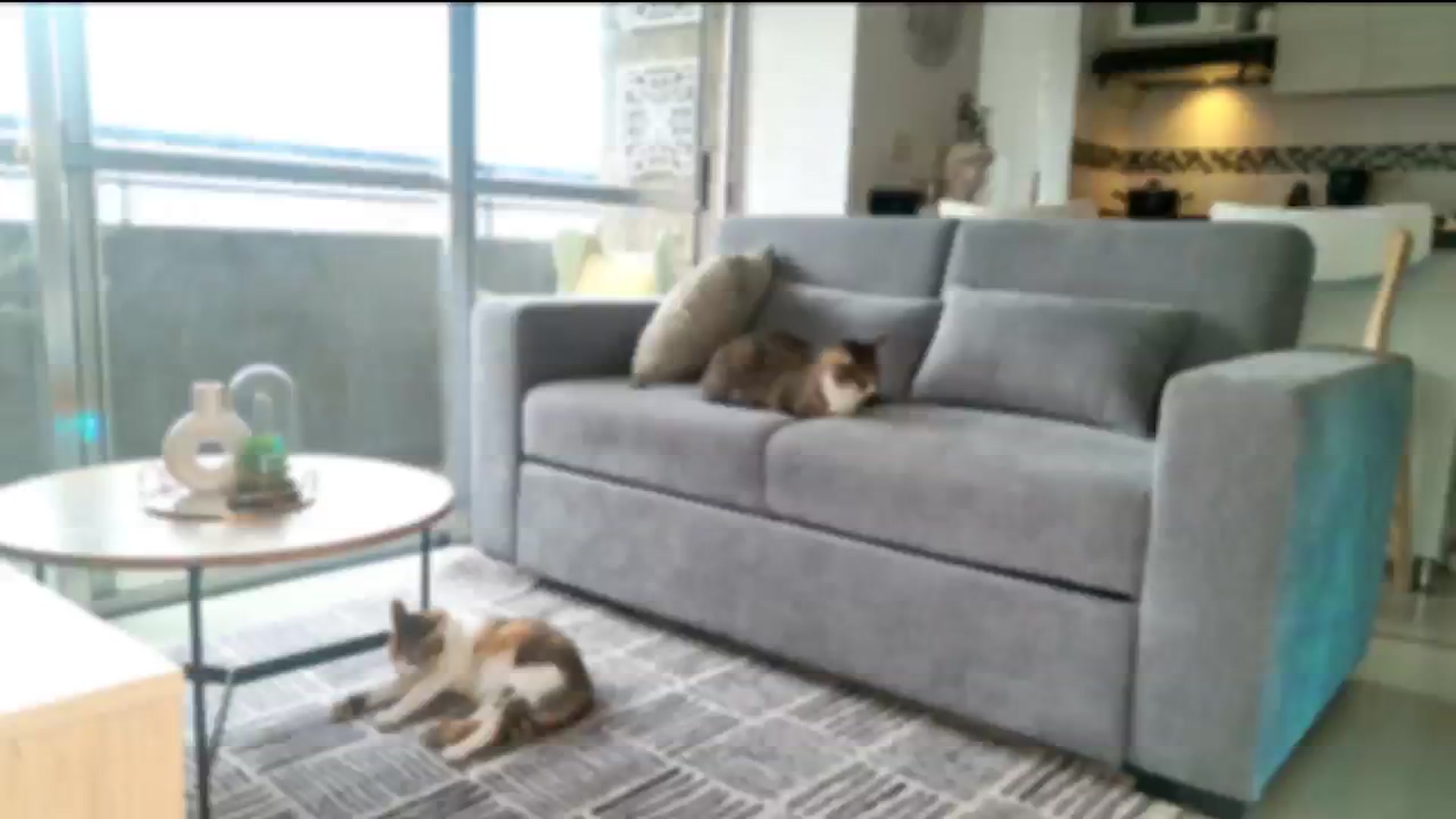 Gallery image thumbnail from Red_Aria's myfreecams stream on, 02/24/2026, 20:24 image 12 of 20