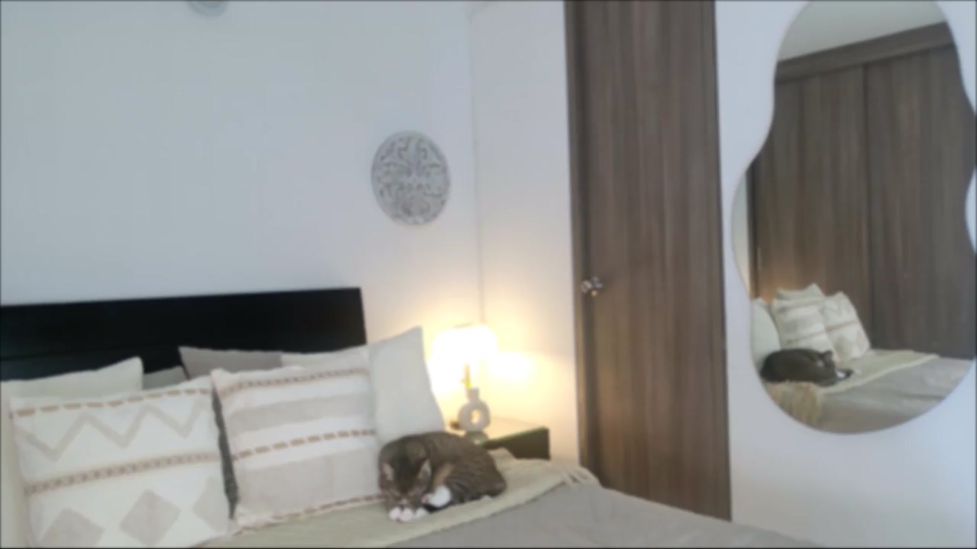 Gallery image thumbnail from Red_Aria's myfreecams stream on, 06/08/2026, 19:32 image 9 of 20
