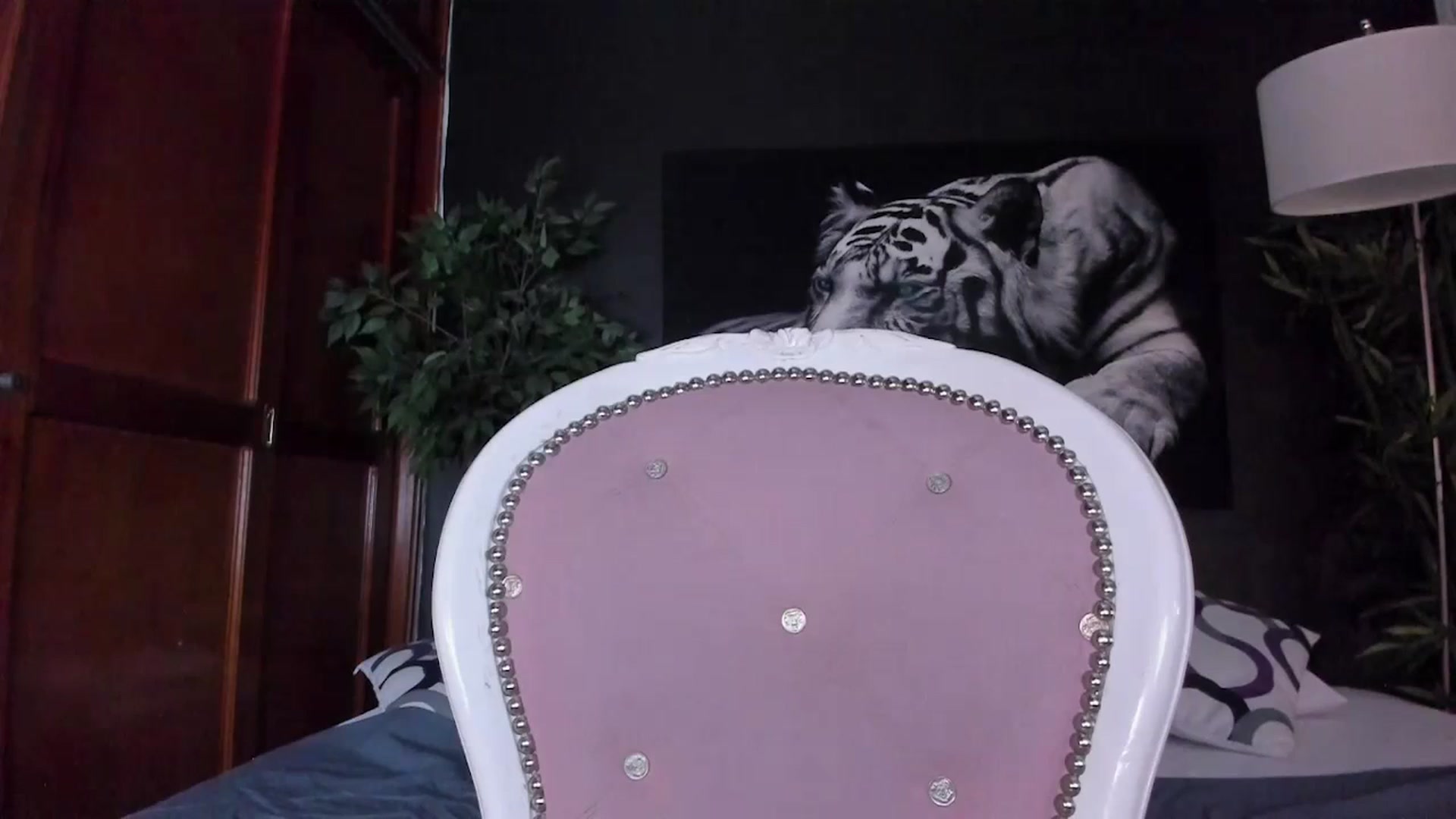 Gallery image thumbnail from Red_Flower203's myfreecams stream on, 12/19/2023, 20:31 image 8 of 20