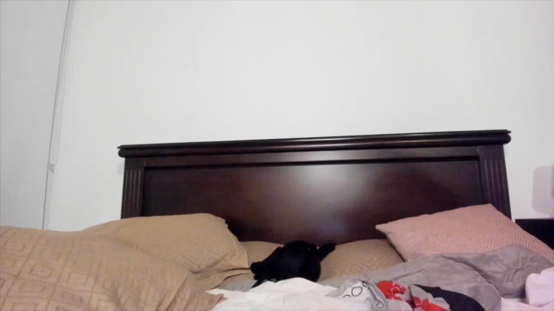 Gallery image thumbnail from Red_Flower203's myfreecams stream on, 09/12/2024, 03:09 image 13 of 20