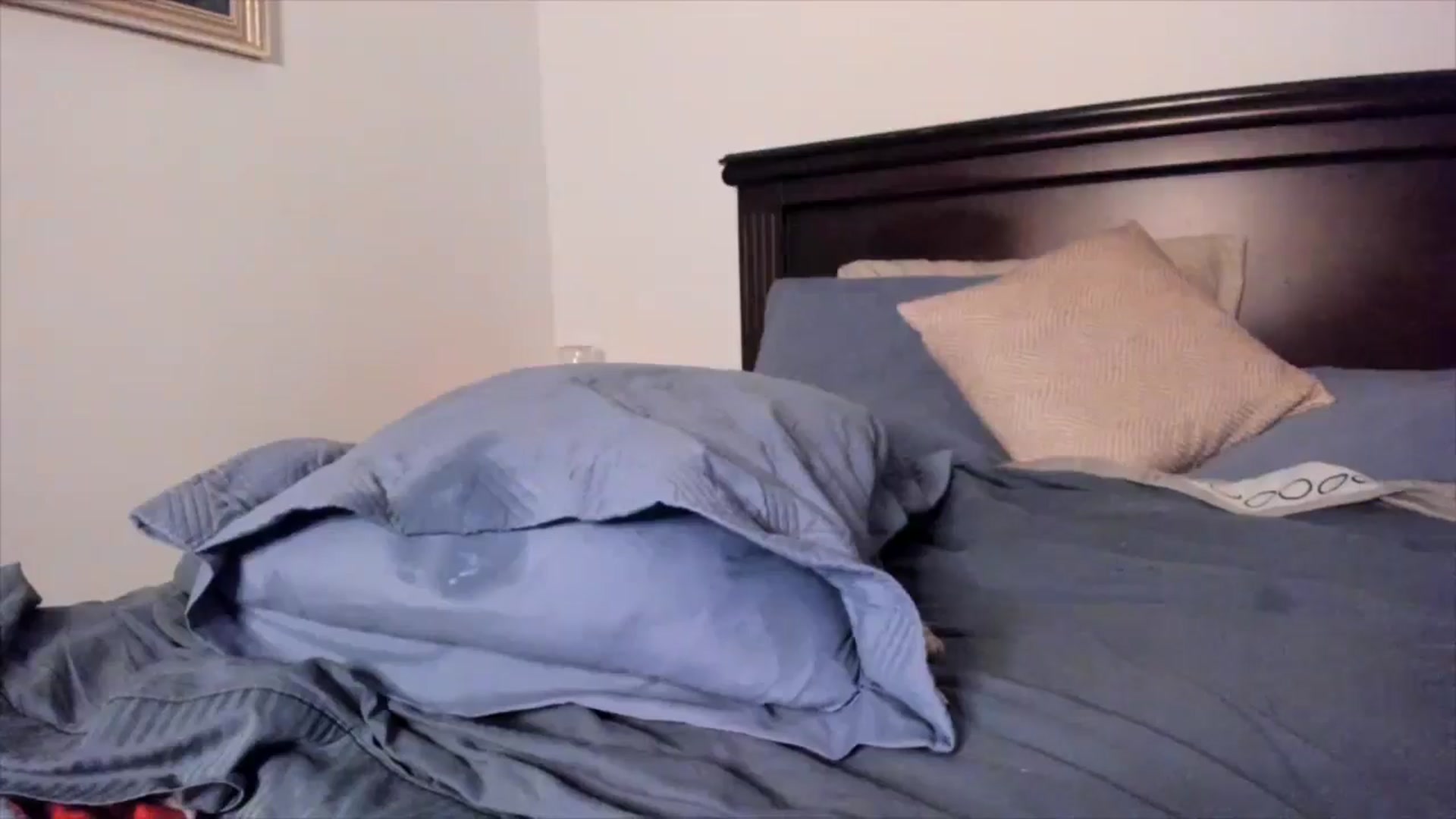 Gallery image thumbnail from Red_Flower203's myfreecams stream on, 11/12/2024, 05:32 image 6 of 20