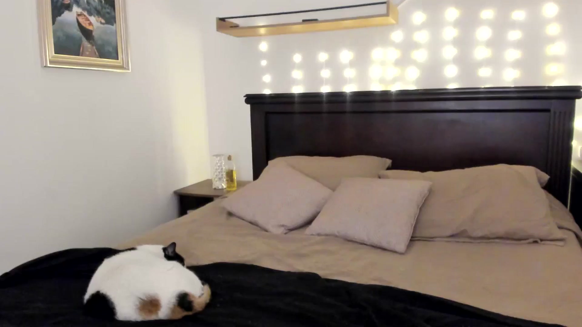 Gallery image thumbnail from Red_Flower203's myfreecams stream on, 12/12/2025, 18:43 image 5 of 20