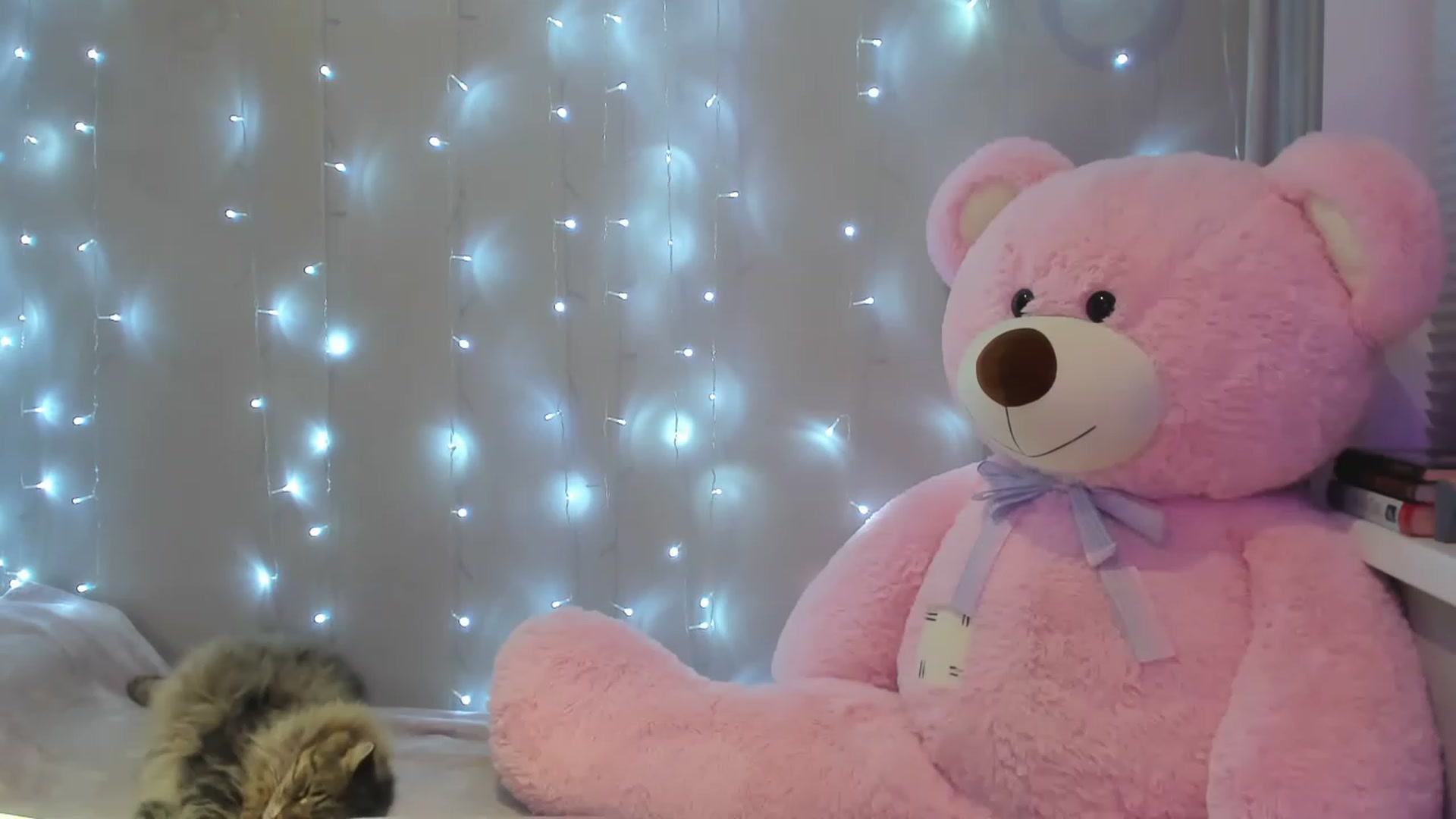 Gallery image thumbnail from Red_Succubus's myfreecams stream on, 12/01/2022, 19:53 image 18 of 20
