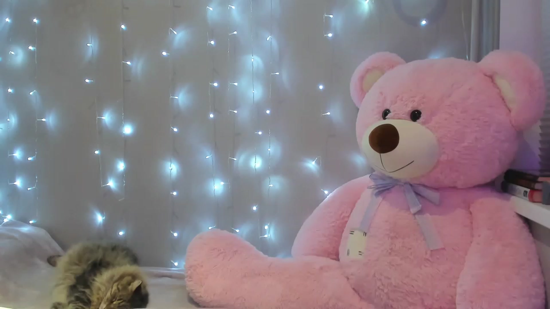 Gallery image thumbnail from Red_Succubus's myfreecams stream on, 12/01/2022, 19:53 image 19 of 20