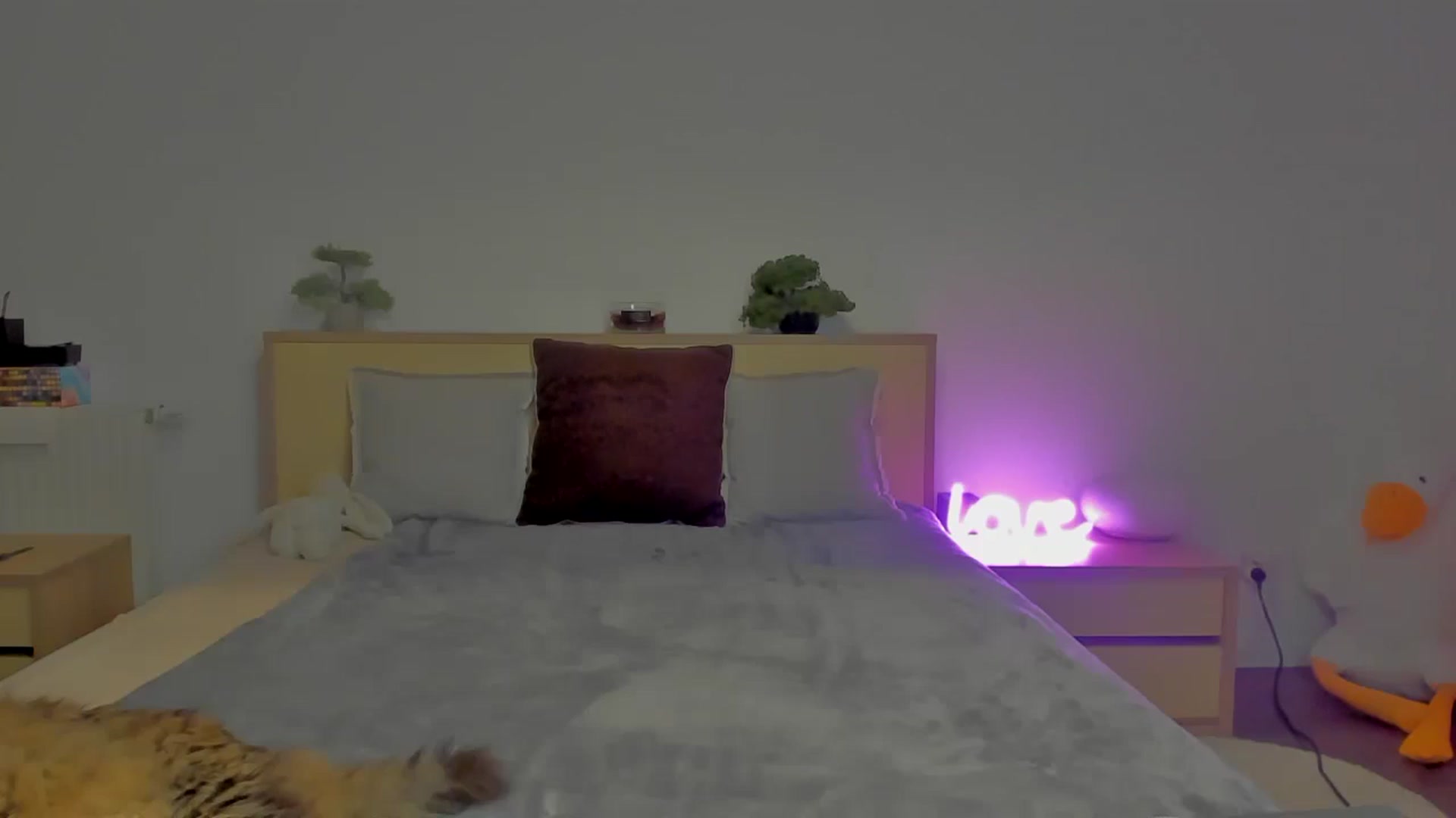 Gallery image thumbnail from Red_Succubus's myfreecams stream on, 04/24/2025, 21:16 image 13 of 20
