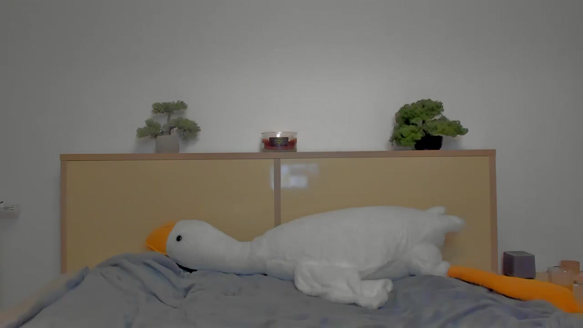 Gallery image thumbnail from Red_Succubus's myfreecams stream on, 04/26/2025, 20:31 image 9 of 20