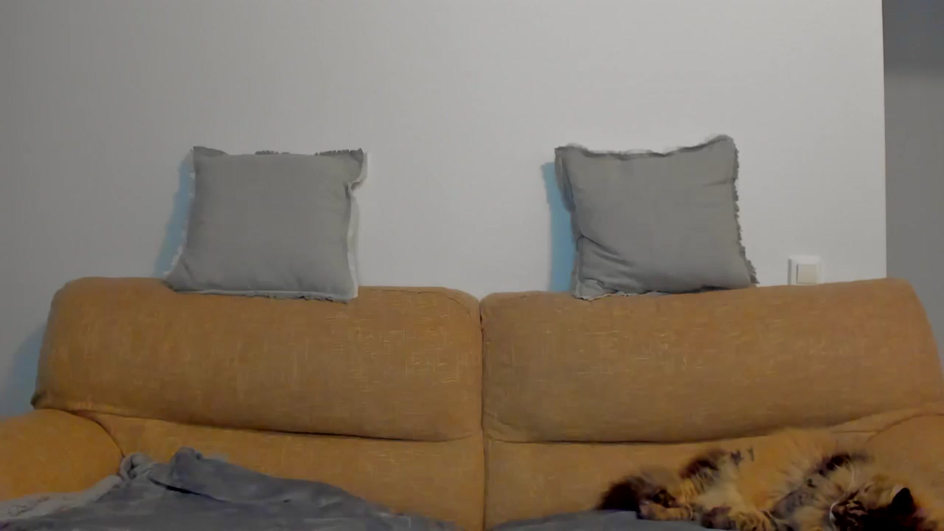 Gallery image thumbnail from Red_Succubus's myfreecams stream on, 05/10/2025, 20:37 image 15 of 20