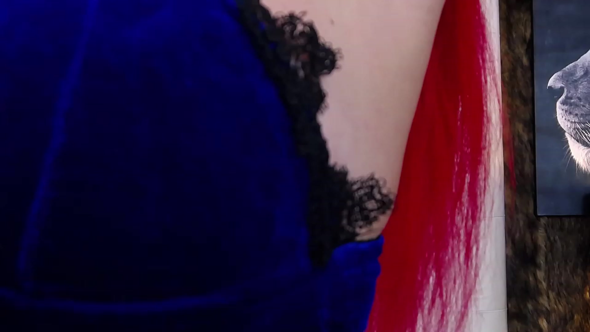 Gallery image thumbnail from Red_chloe's myfreecams stream on, 12/22/2022, 12:48 image 15 of 20