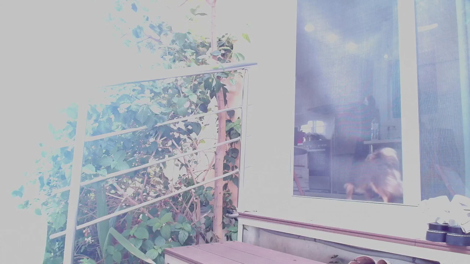 Gallery image thumbnail from Redhead_Aggie's myfreecams stream on, 09/11/2025, 09:10 image 12 of 20