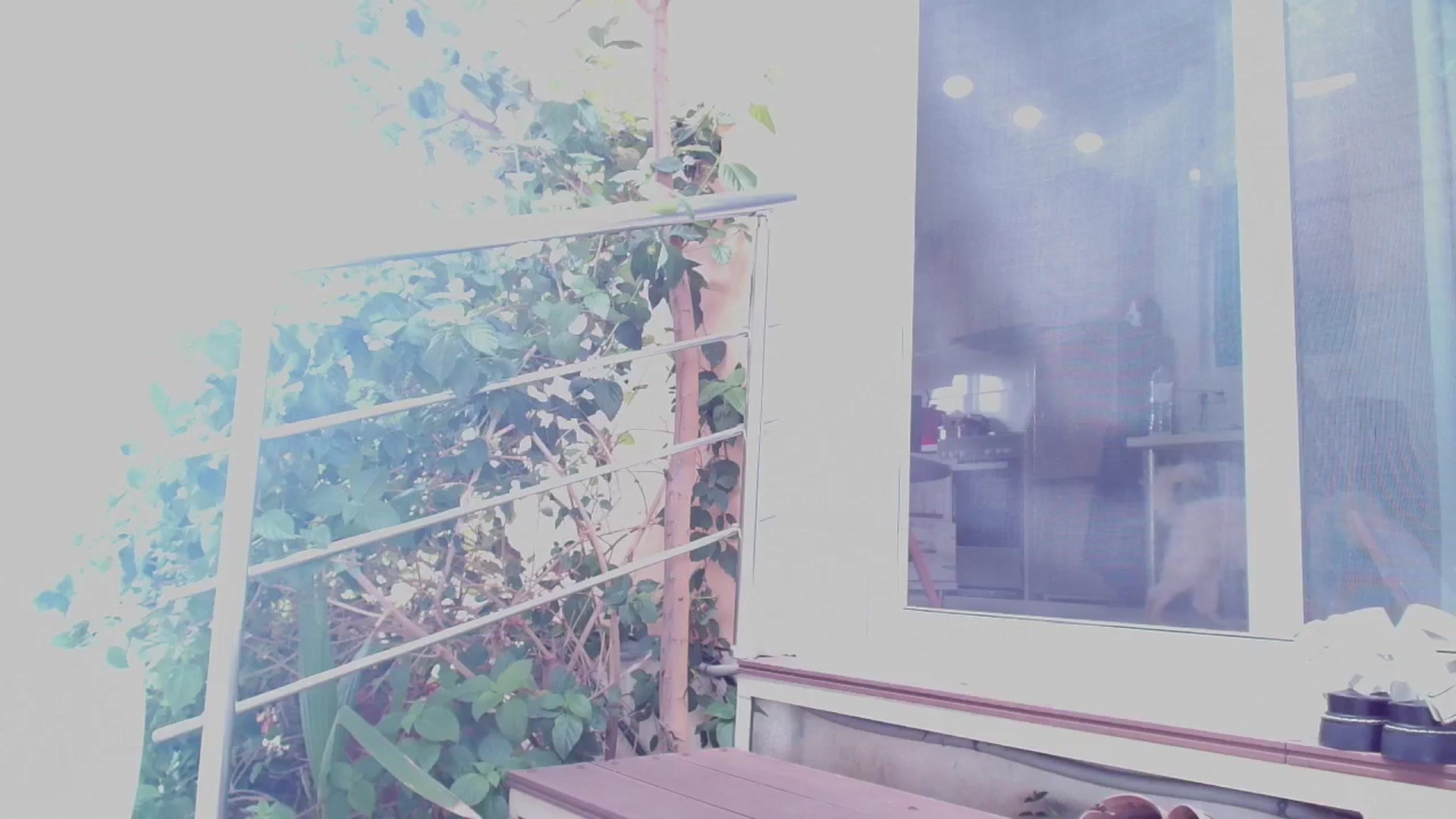 Gallery image thumbnail from Redhead_Aggie's myfreecams stream on, 09/11/2025, 09:10 image 11 of 20