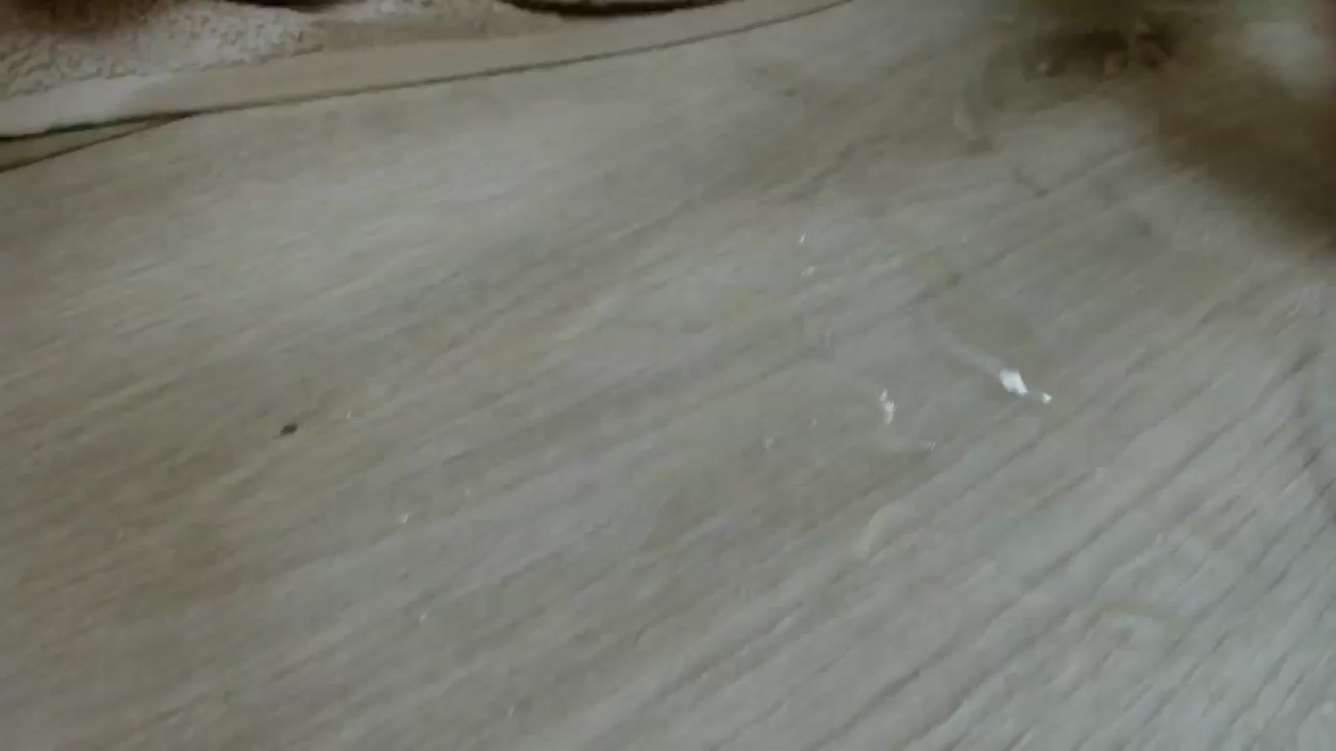 Gallery image thumbnail from Redhead_Aggie's myfreecams stream on, 11/20/2025, 20:12 image 15 of 20