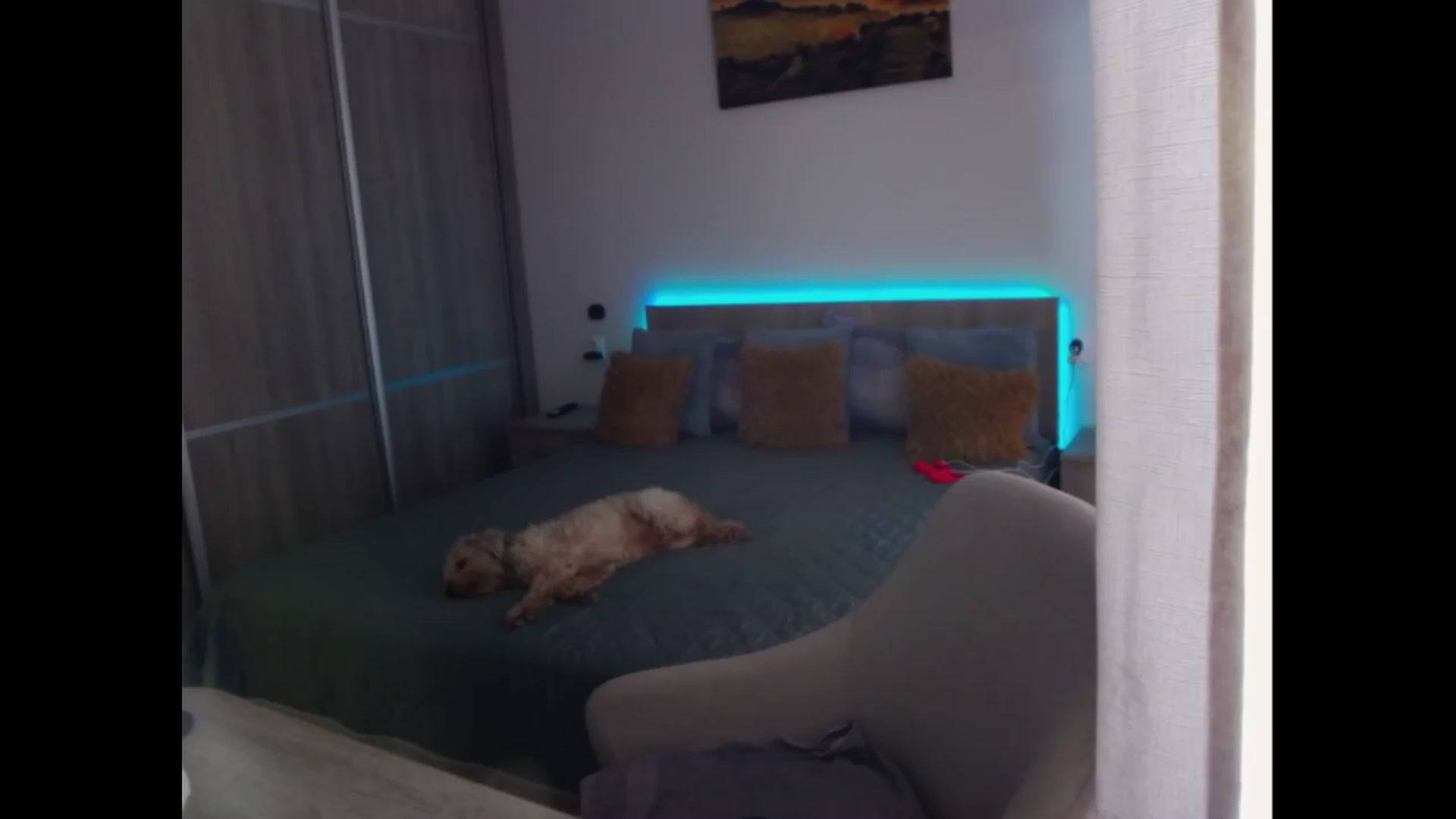 Gallery image thumbnail from Redhead_Aggie's myfreecams stream on, 07/02/2026, 12:27 image 1 of 20