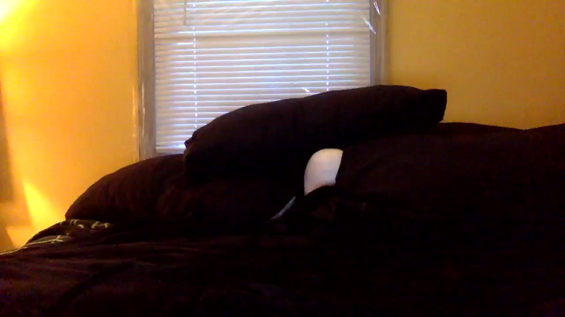 Gallery image thumbnail from Redheadkitty1's myfreecams stream on, 01/25/2026, 12:31 image 1 of 20