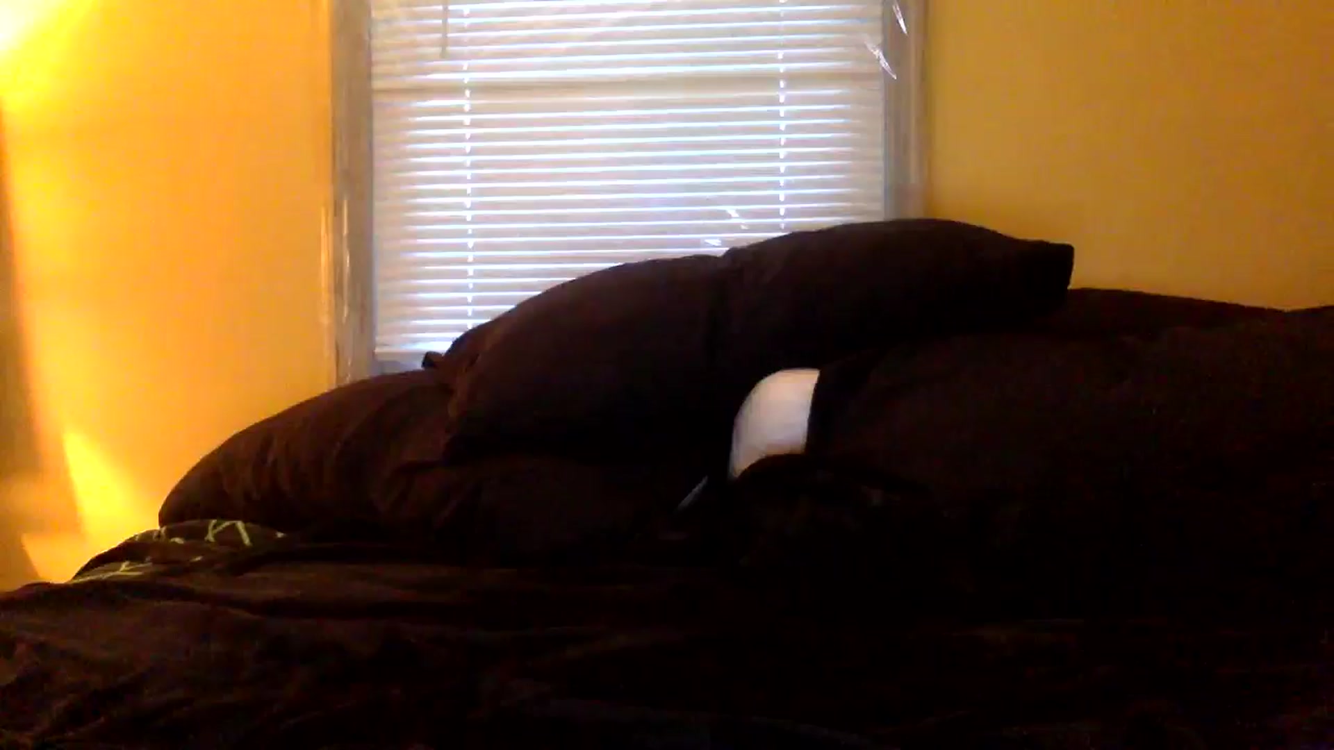 Gallery image thumbnail from Redheadkitty1's myfreecams stream on, 01/25/2026, 12:31 image 13 of 20