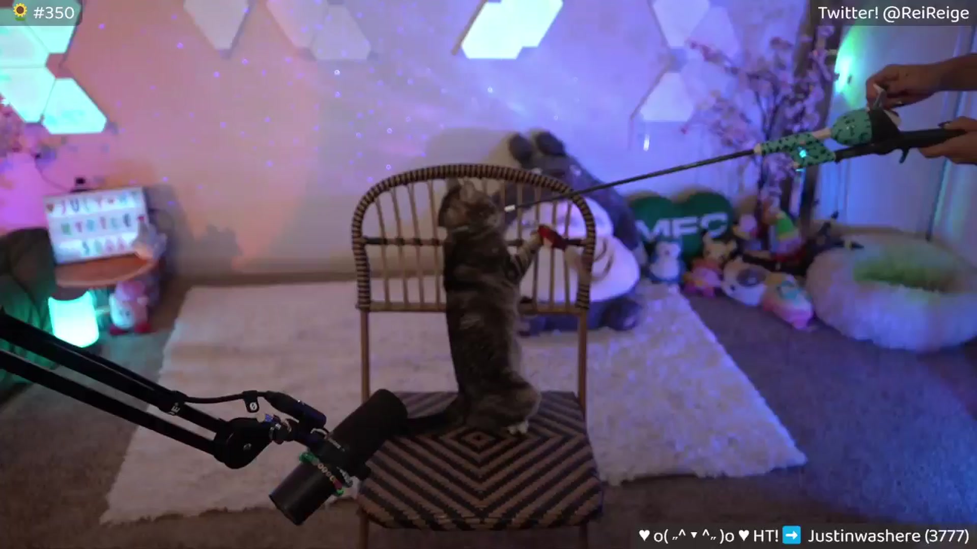 Gallery image thumbnail from ReiLily's myfreecams stream on, 07/27/2024, 07:31 image 10 of 20