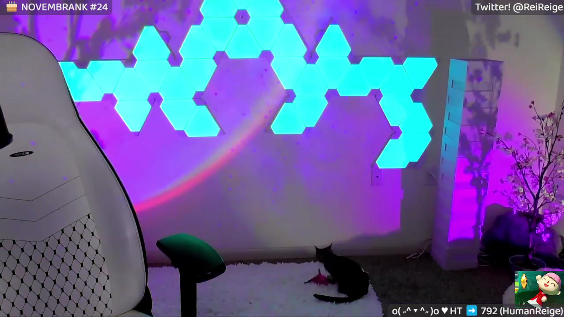 Gallery image thumbnail from Reige's myfreecams stream on, 11/18/2022, 10:15 image 15 of 20