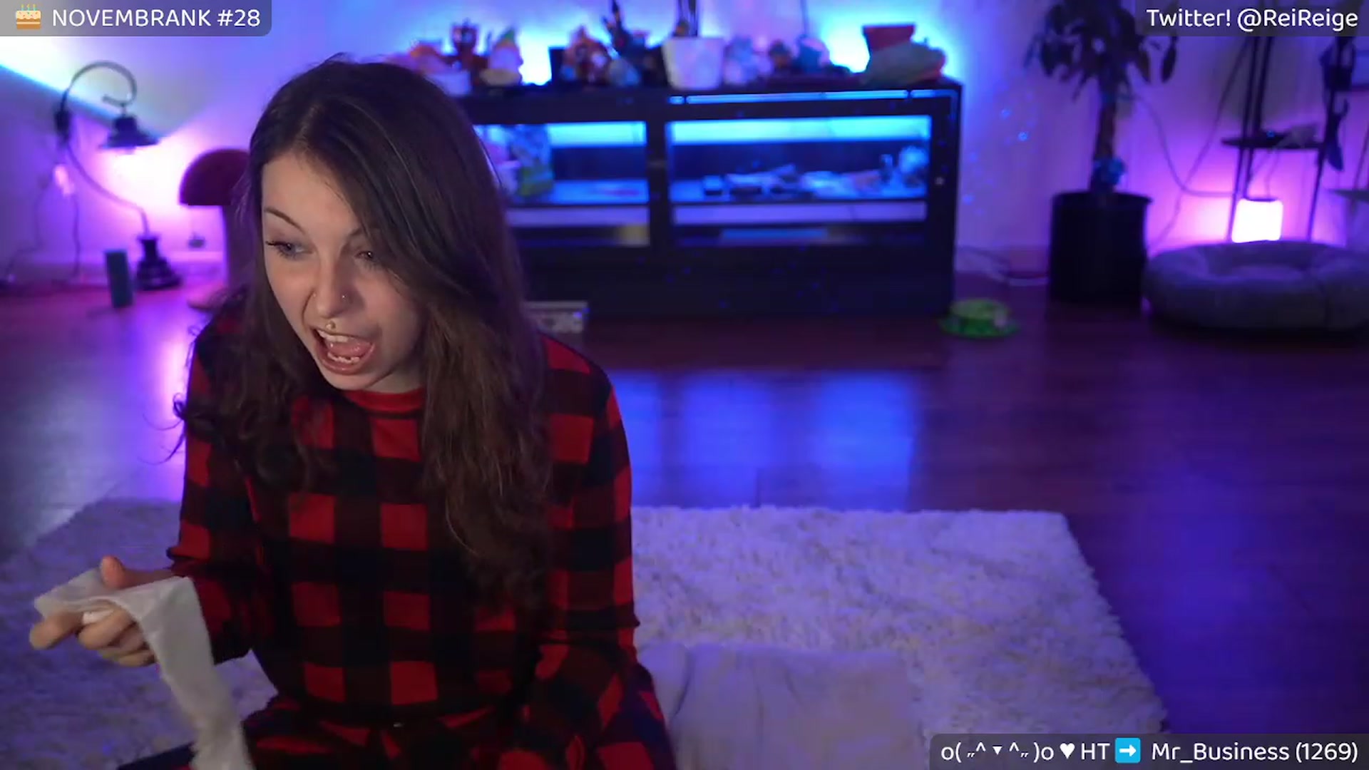 Gallery image thumbnail from Reige's myfreecams stream on, 11/22/2022, 06:38 image 11 of 20