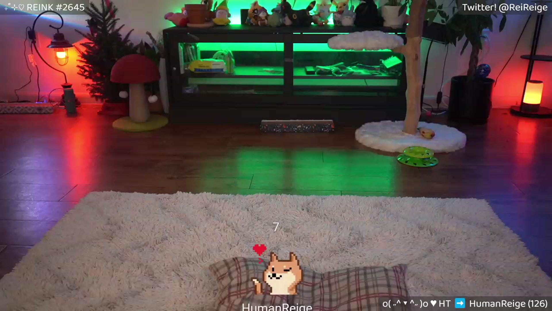 Gallery image thumbnail from Reige's myfreecams stream on, 12/08/2022, 08:17 image 12 of 20