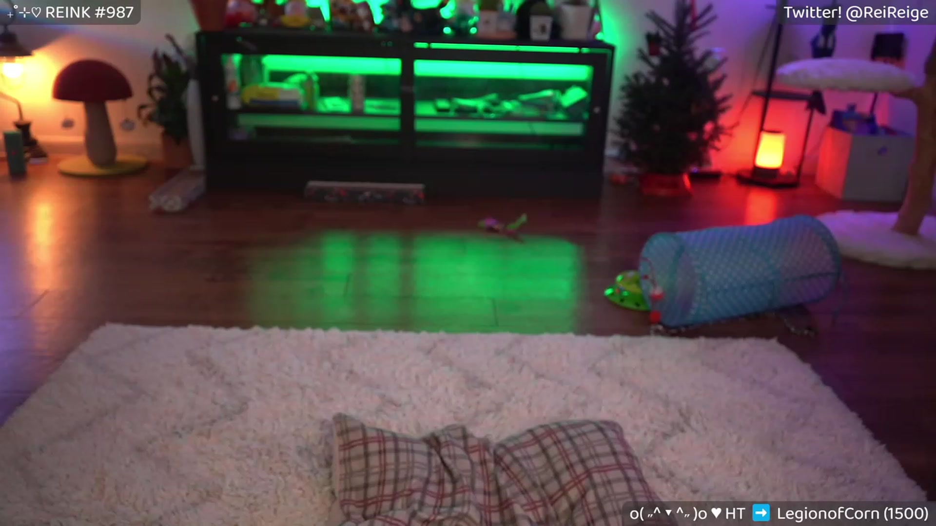 Gallery image thumbnail from Reige's myfreecams stream on, 12/10/2022, 08:12 image 16 of 20