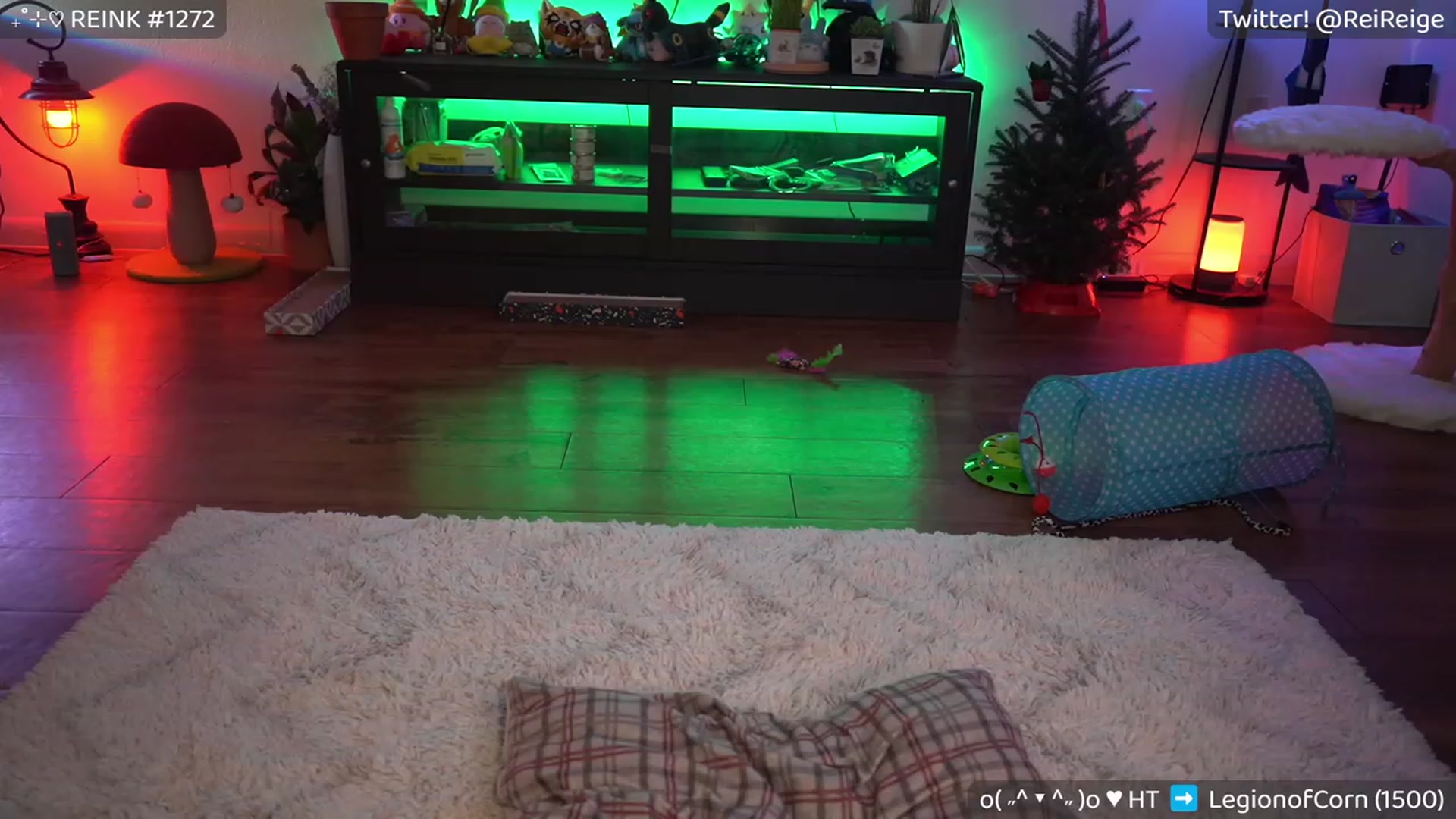 Gallery image thumbnail from Reige's myfreecams stream on, 12/10/2022, 08:12 image 11 of 20