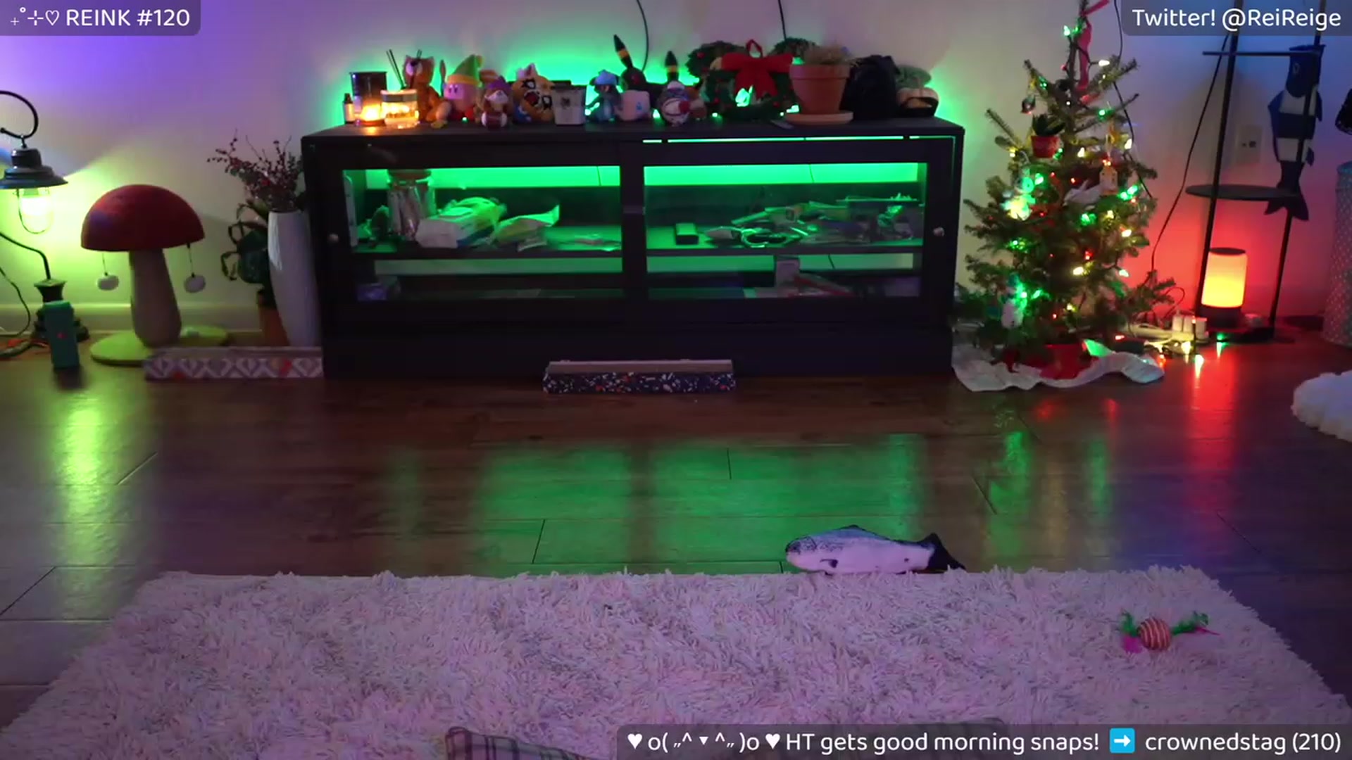 Gallery image thumbnail from Reige's myfreecams stream on, 12/29/2022, 10:01 image 9 of 20
