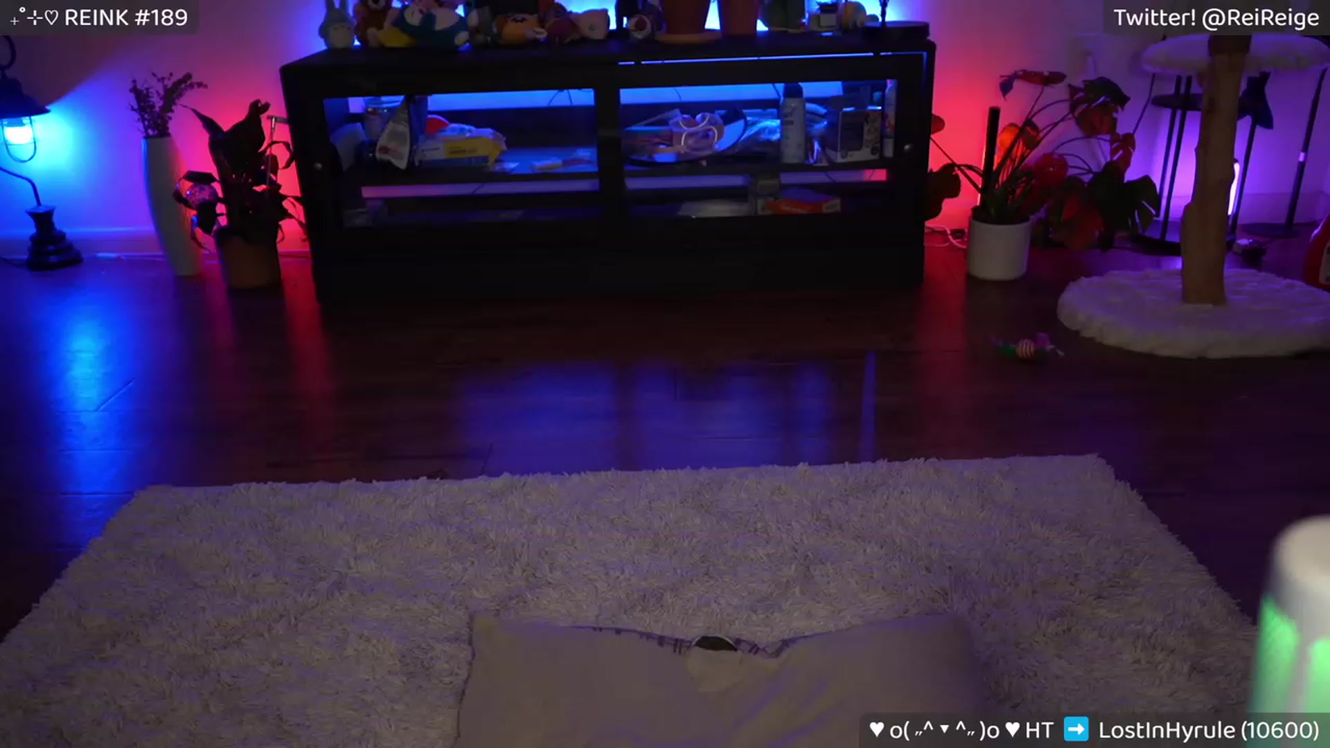 Gallery image thumbnail from Reige's myfreecams stream on, 01/26/2023, 11:08 image 9 of 20