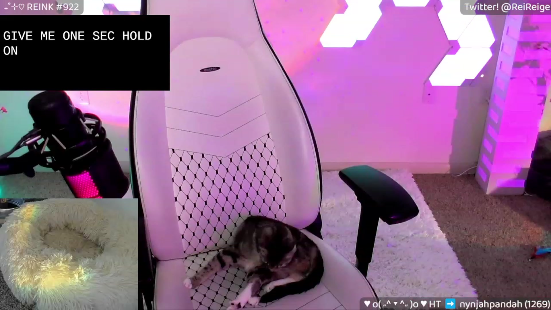 Gallery image thumbnail from Reige's myfreecams stream on, 02/04/2023, 11:57 image 6 of 20