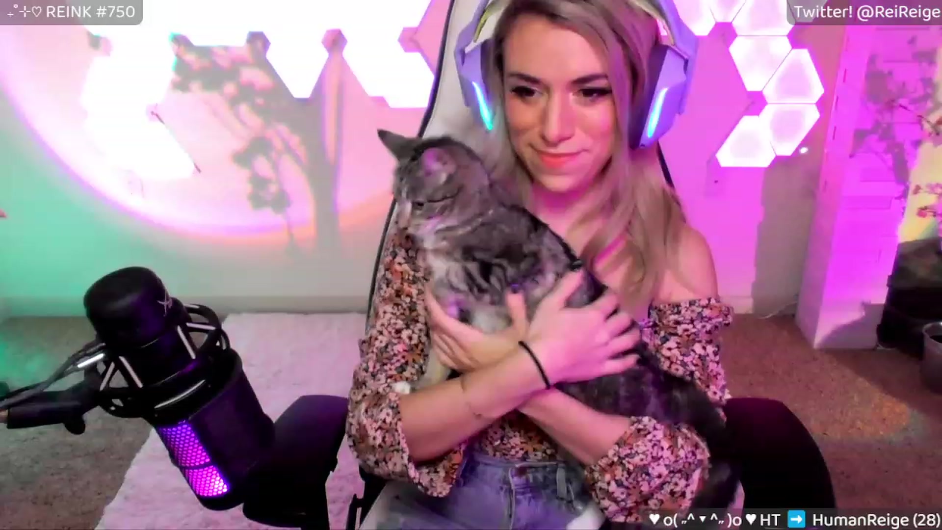 Gallery image thumbnail from Reige's myfreecams stream on, 02/05/2023, 11:15 image 1 of 20