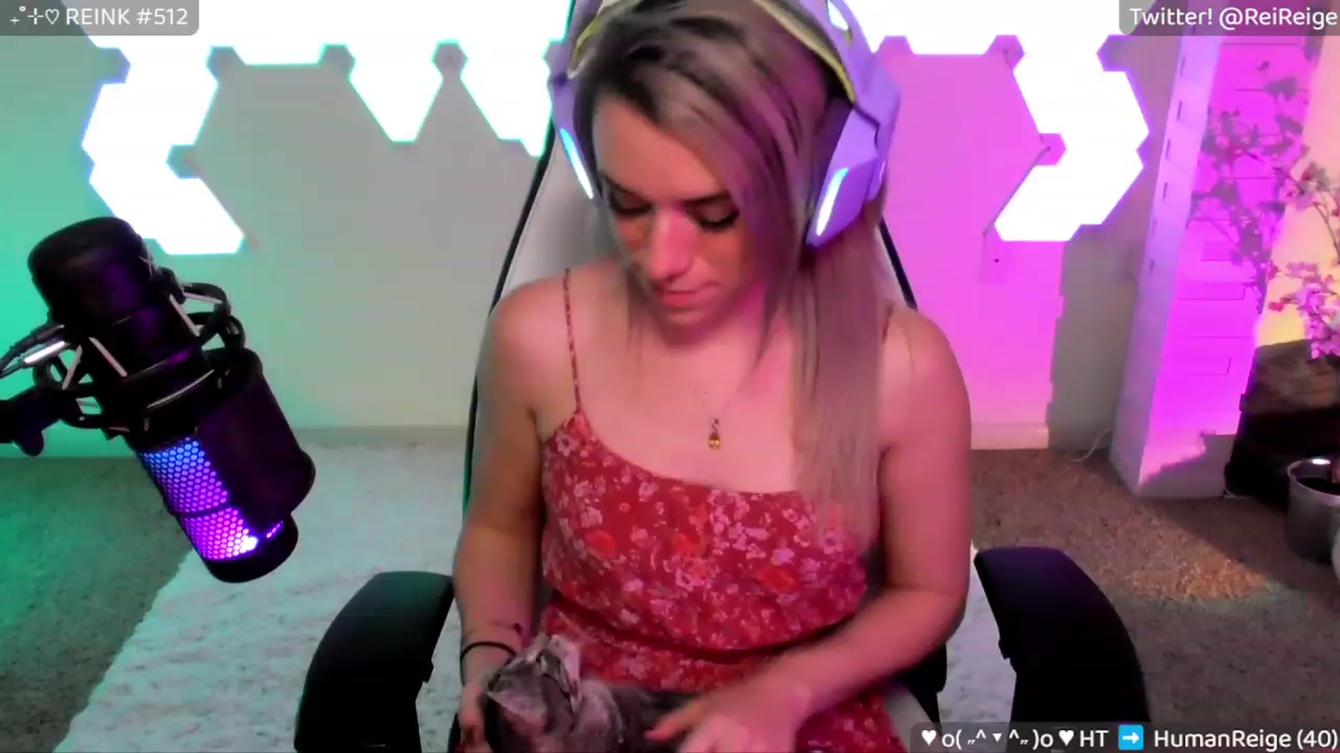 Gallery image thumbnail from Reige's myfreecams stream on, 02/24/2023, 10:26 image 9 of 20
