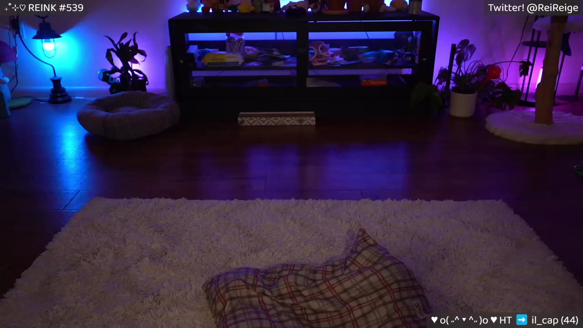 Gallery image thumbnail from Reige's myfreecams stream on, 02/25/2023, 09:57 image 12 of 20