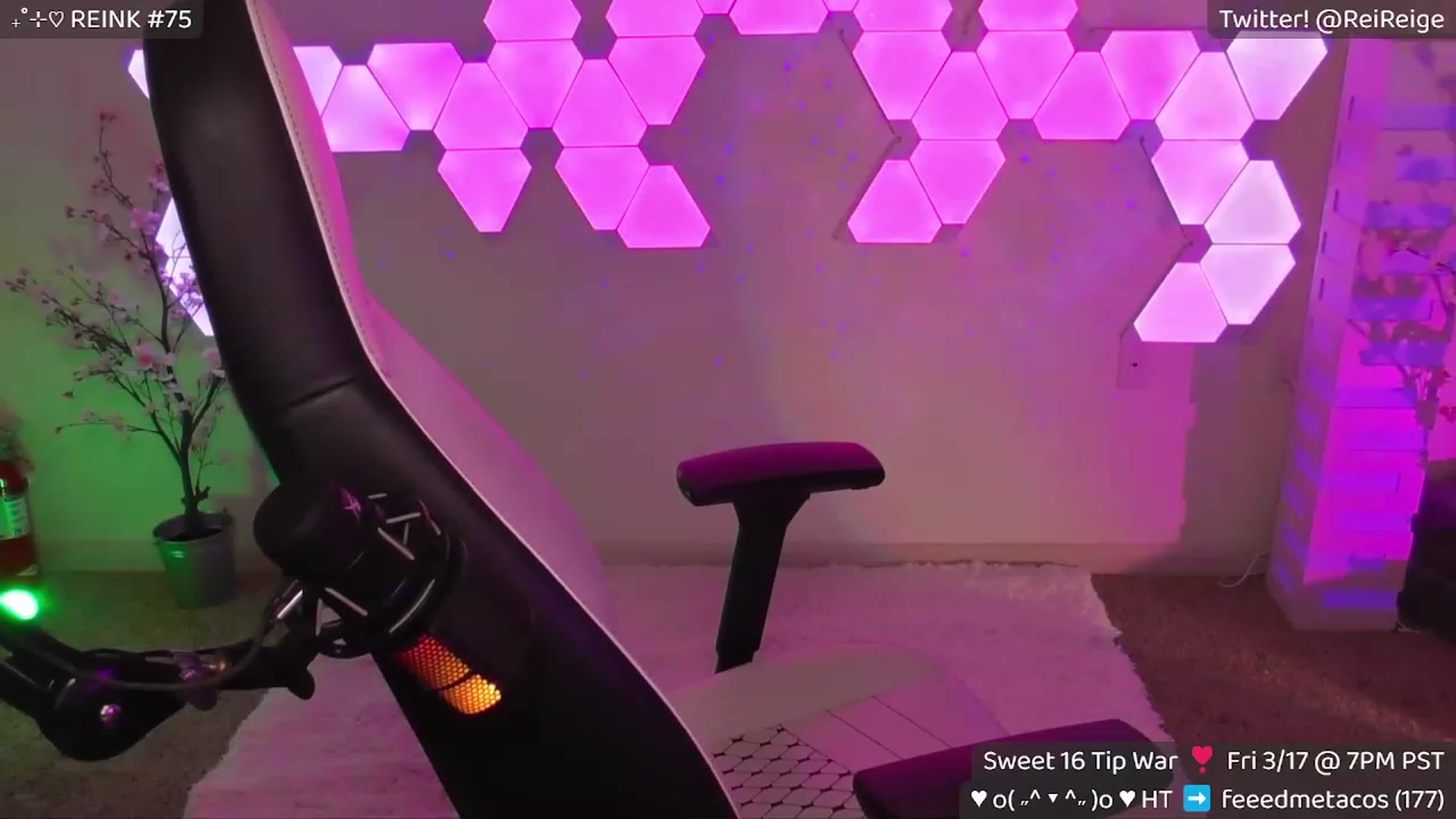 Gallery image thumbnail from Reige's myfreecams stream on, 03/17/2023, 07:29 image 8 of 20