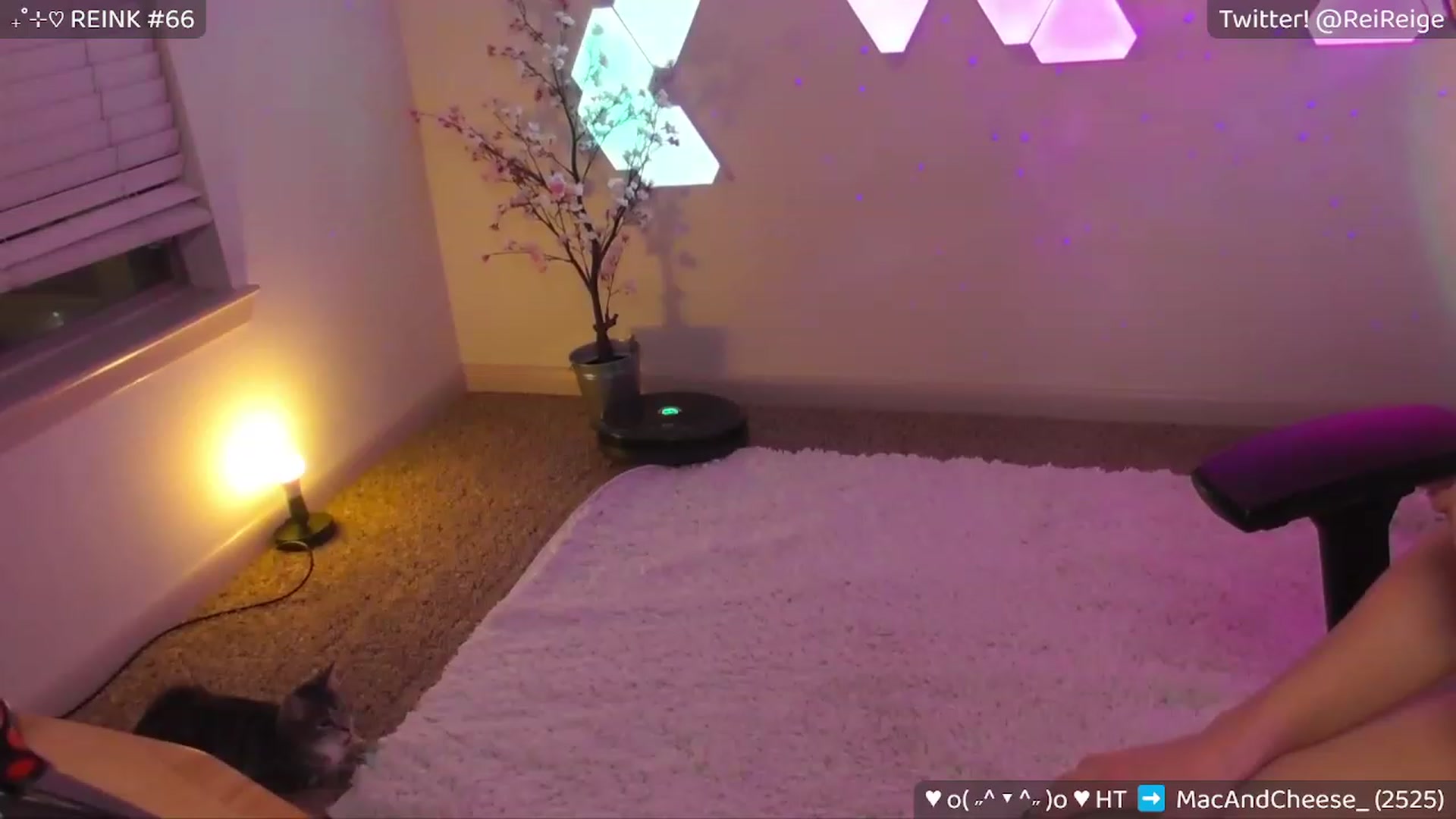 Gallery image thumbnail from Reige's myfreecams stream on, 03/24/2023, 08:43 image 19 of 20