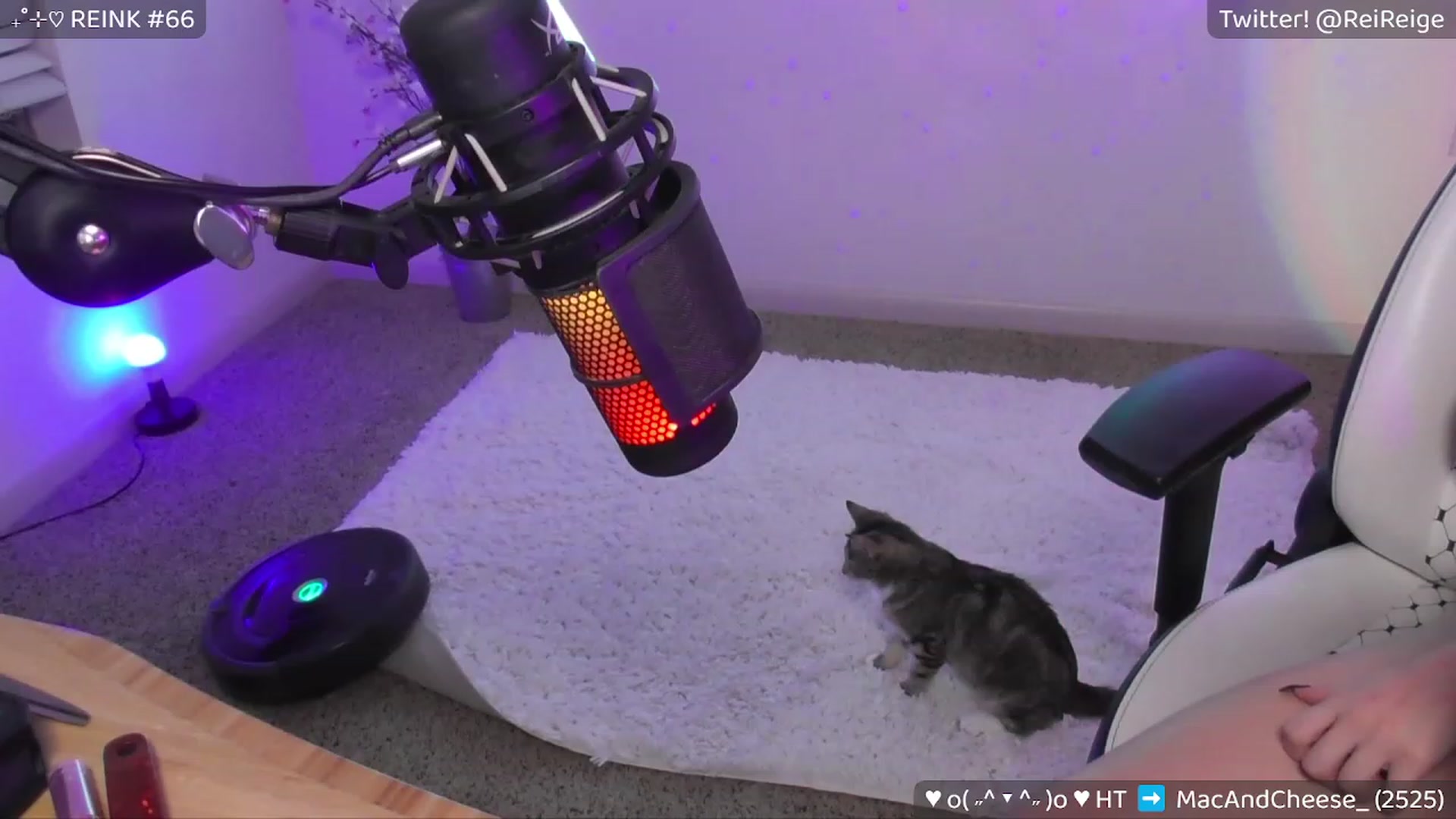 Gallery image thumbnail from Reige's myfreecams stream on, 03/24/2023, 08:43 image 20 of 20