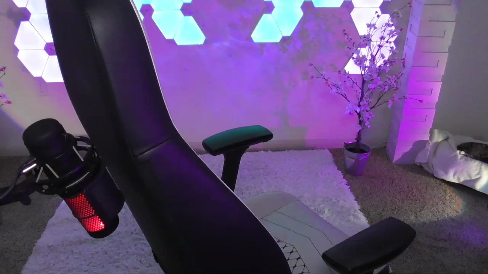 Gallery image thumbnail from Reige's myfreecams stream on, 04/27/2023, 09:26 image 4 of 20