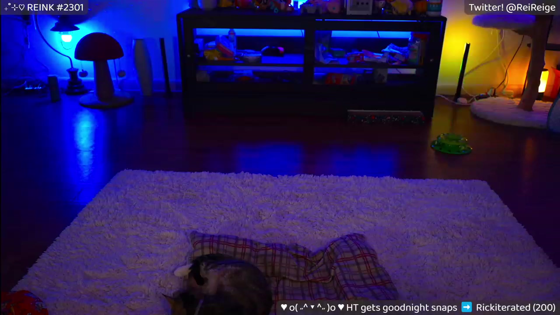 Gallery image thumbnail from Reige's myfreecams stream on, 05/03/2023, 09:26 image 11 of 20