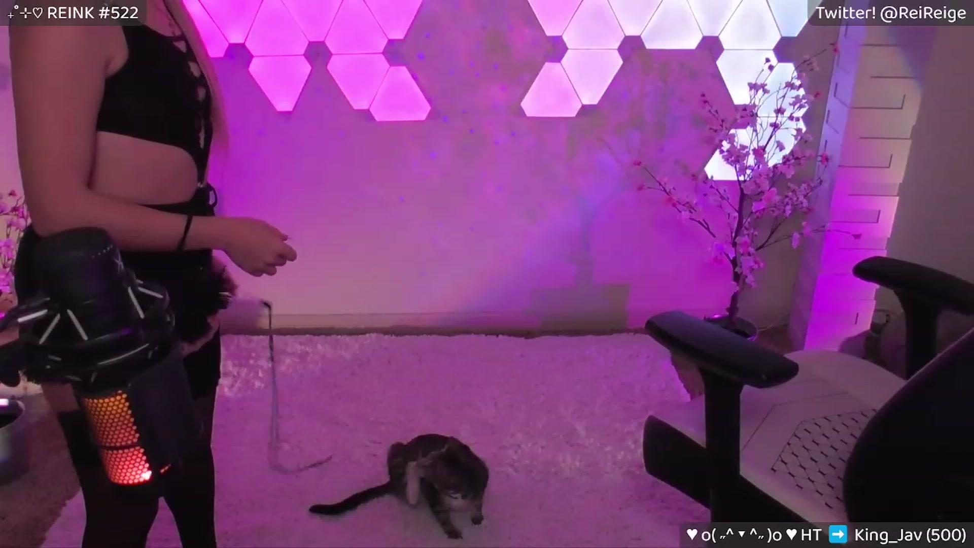 Gallery image thumbnail from Reige's myfreecams stream on, 05/17/2023, 09:38 image 4 of 20