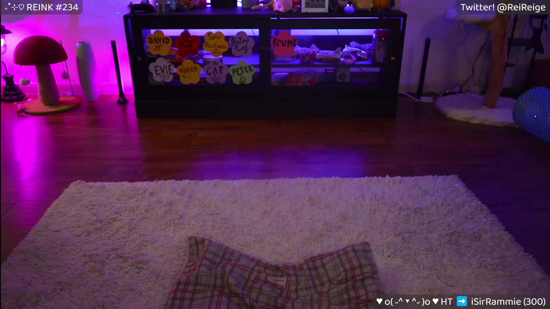 Gallery image thumbnail from Reige's myfreecams stream on, 05/27/2023, 09:10 image 12 of 20